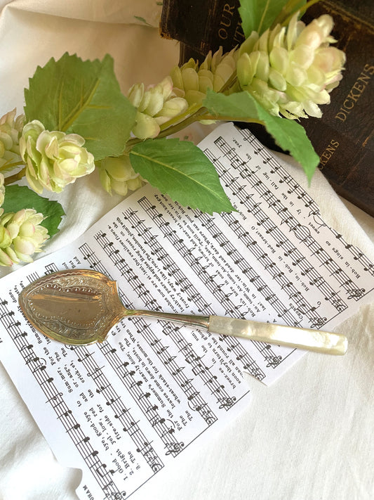 Antique Mother of Pearl Preserve Spoon