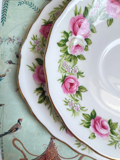 Enchanted Roses Teacup, Saucer and Tea Plate Trio